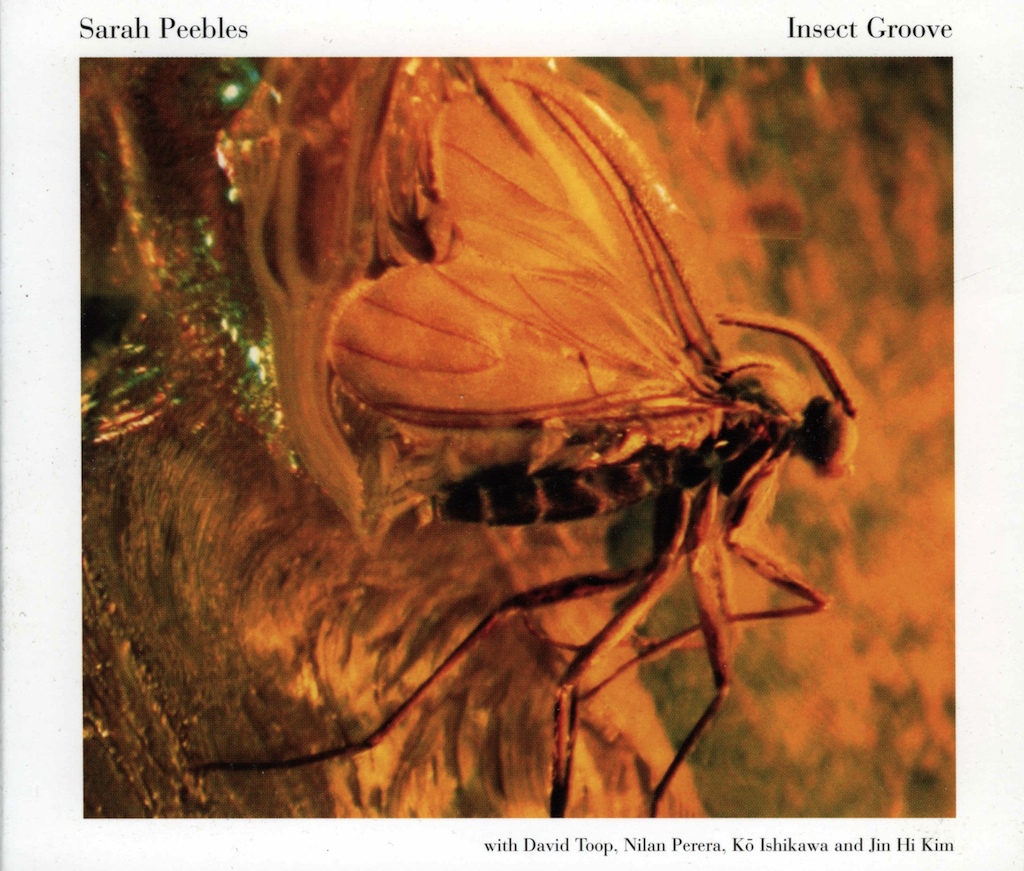 Insect Groove - Front cover